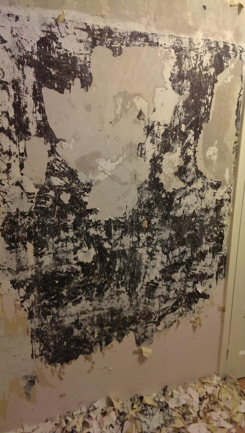 Dark brown paint? Contains lead? DIYnot Forums