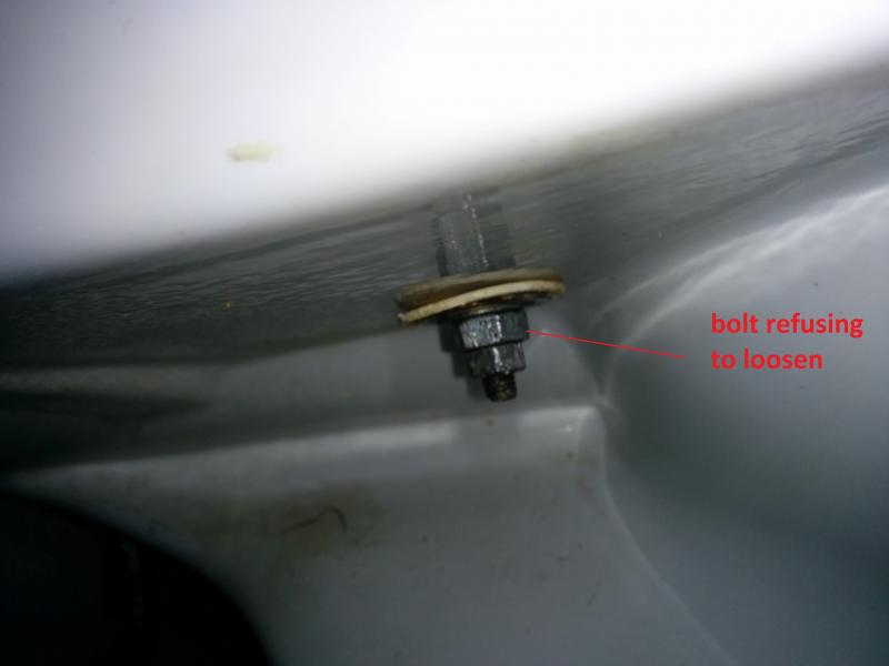 Toilet seat nut/bolt removal DIYnot Forums