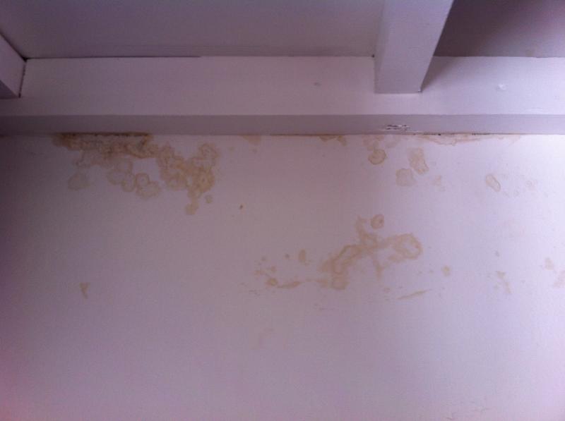 Mould in fitted wardrobe DIYnot Forums
