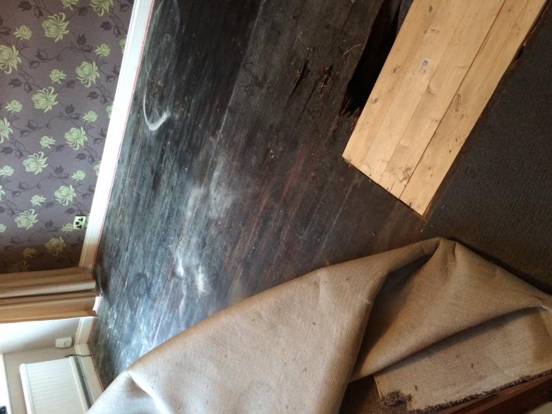 Damp Floorboards and Underneath! DIYnot Forums