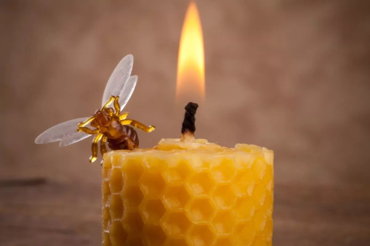 Which Type of Candle Wax Burns Longest? DIY products 101