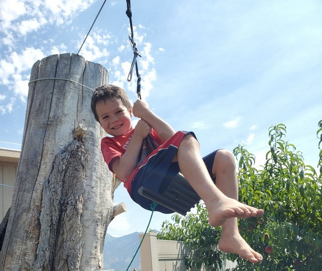 21 DIY Zipline Ideas To Your Backyard DIYsCraftsy