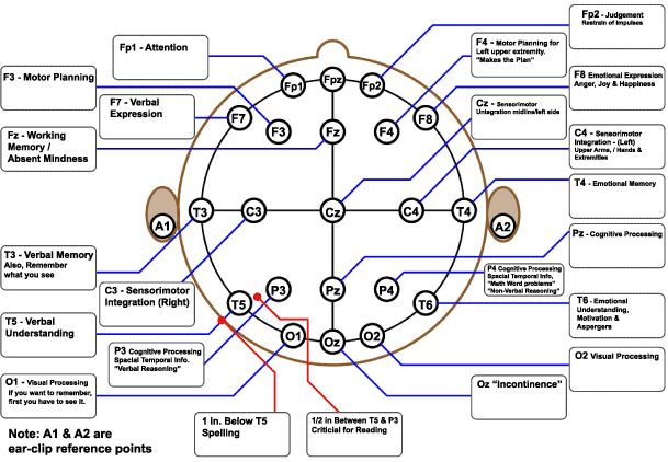 Mapping 10-20 System to Brain-Functioning | DIY tDCS