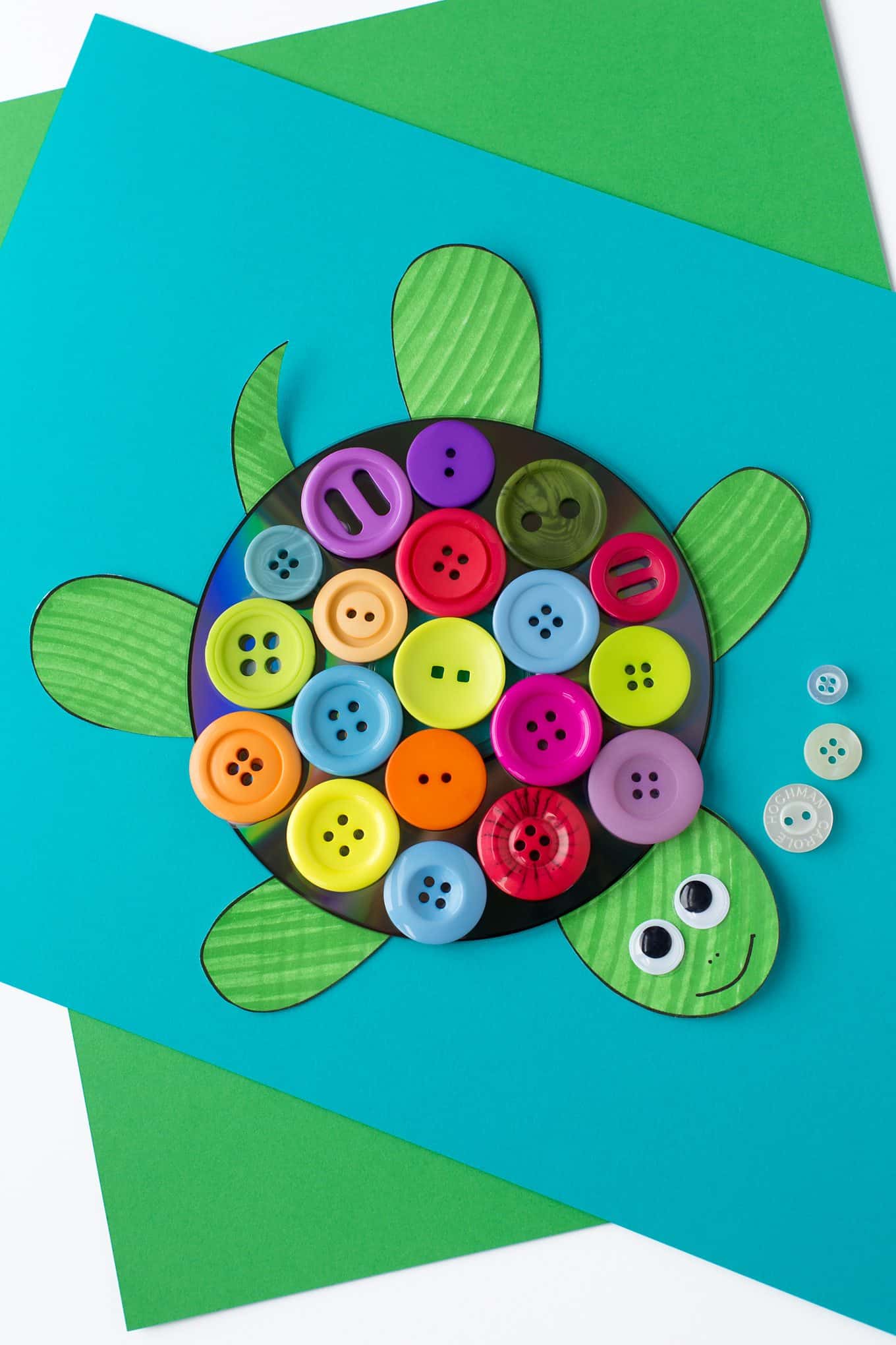 5 Fun Turtle Crafts diy Thought