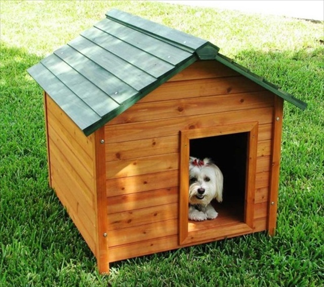 11 DIY Pallet Doghouse Ideas