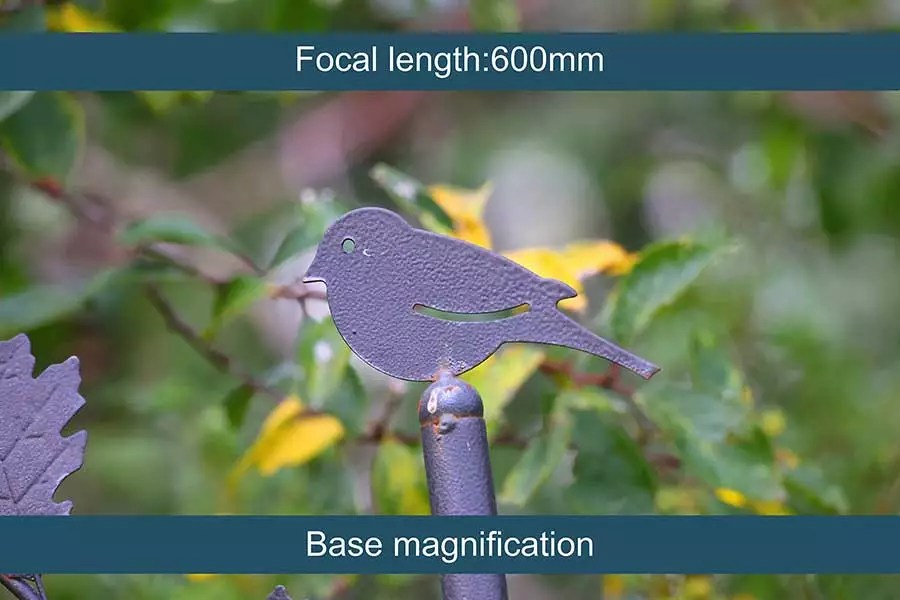 More Telephoto Lens Magnification with Macro Extension Tubes DIY