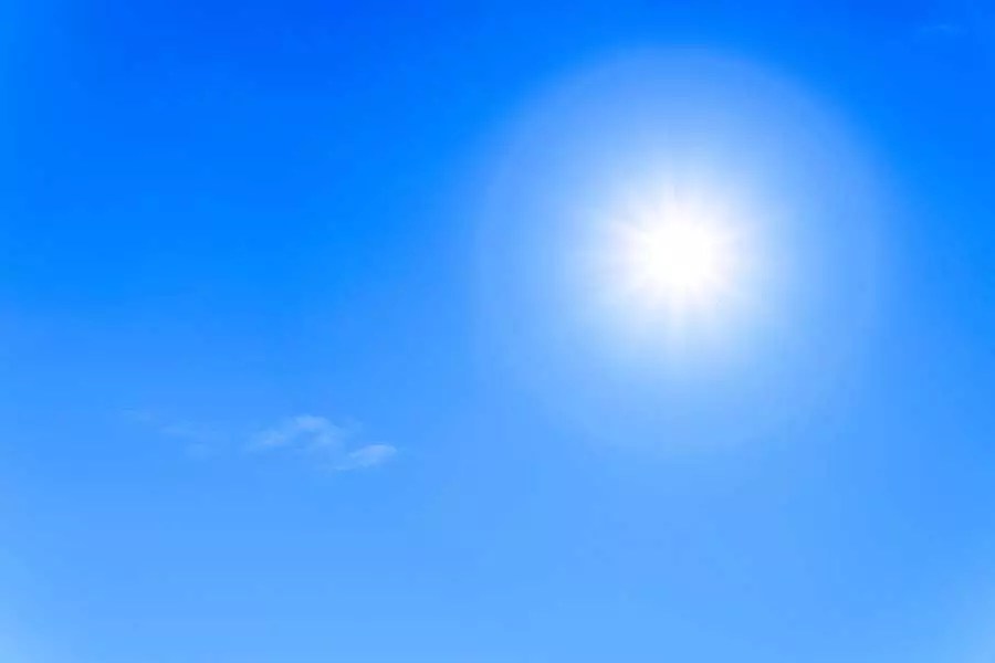 How To Get Rid of Camera Lens Fungus & Prevent It from Coming Back