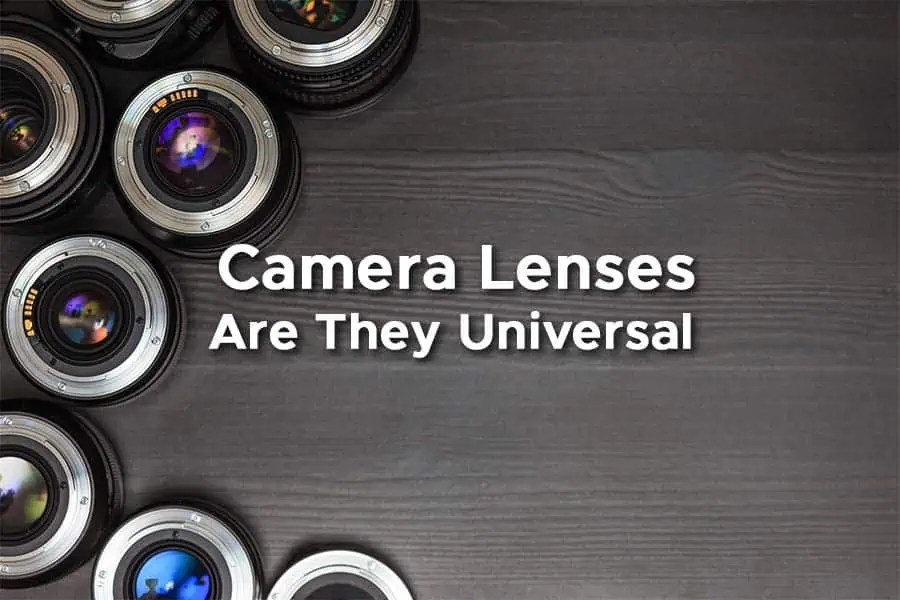 Are Camera Lenses Universal or BrandSpecific DIY Video Studio