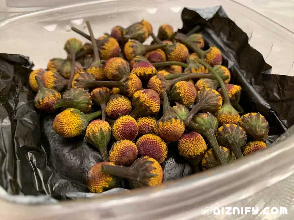 Fuzzy Tauntaun Copycat Recipe, and Buzz Foam! Diznify