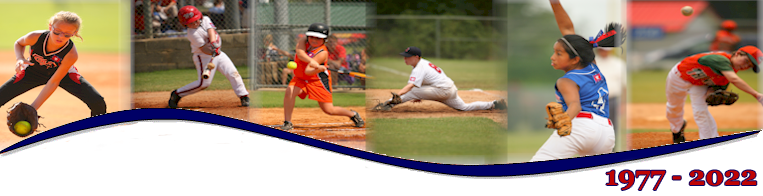 Dizzy Dean Georgia State Tournament 2023 Dizzy Dean Baseball, Inc.