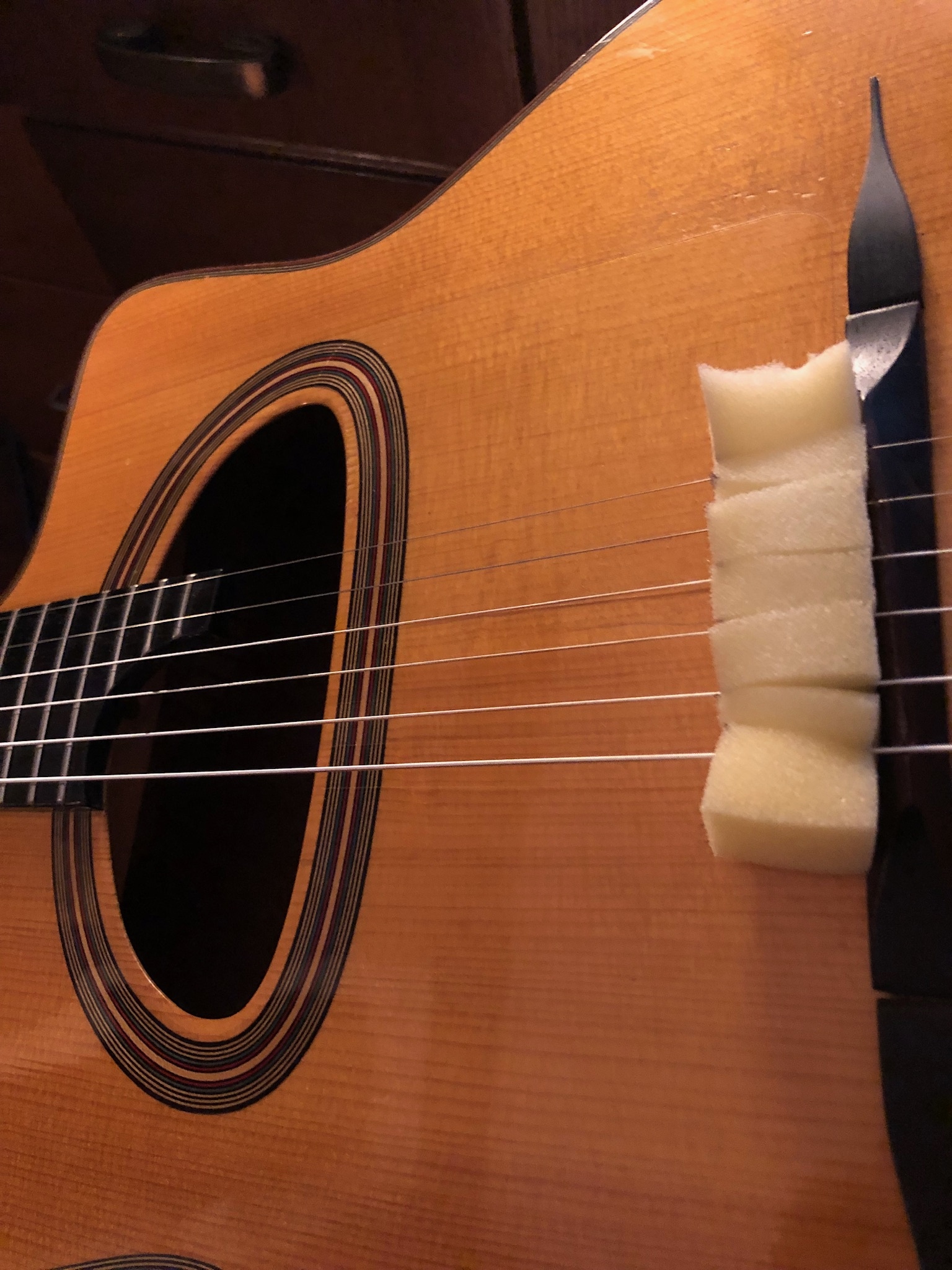 Silencing Acoustic Guitar For Quiet Practice? Page 3 — DjangoBooks Forum