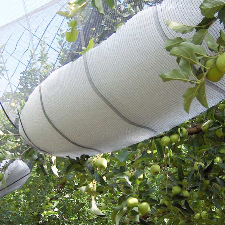 Custom High strength HDPE Anti Hail Net for The fruit tree protection