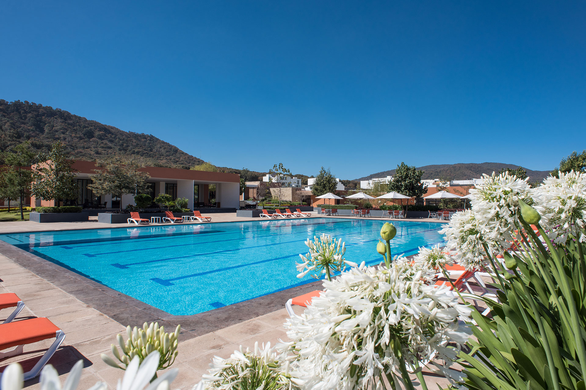 LOS ROBLES DMI Desarrollos