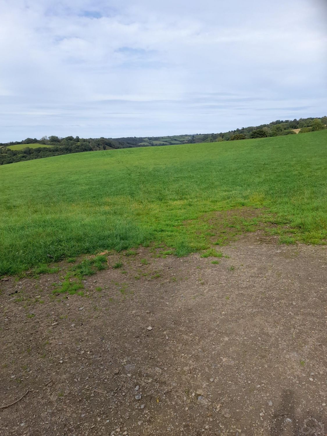 Land for sale Whitemill Carmarthenshire