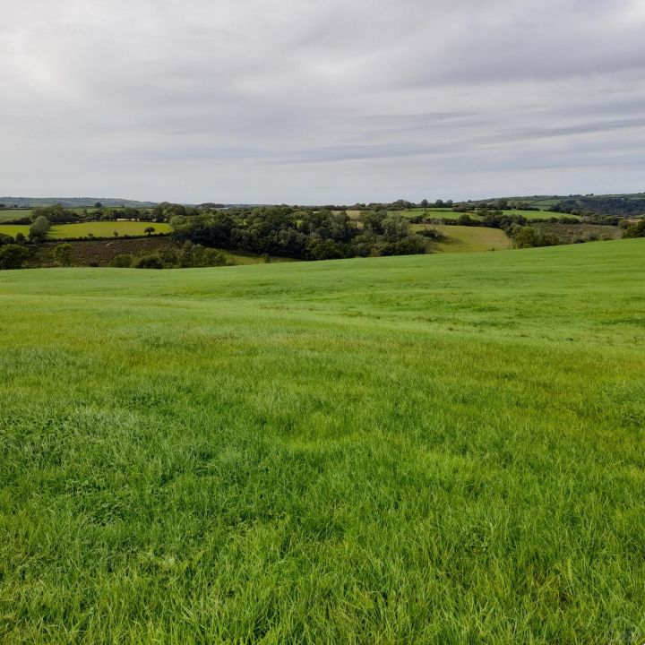 Land for sale Whitemill Carmarthenshire