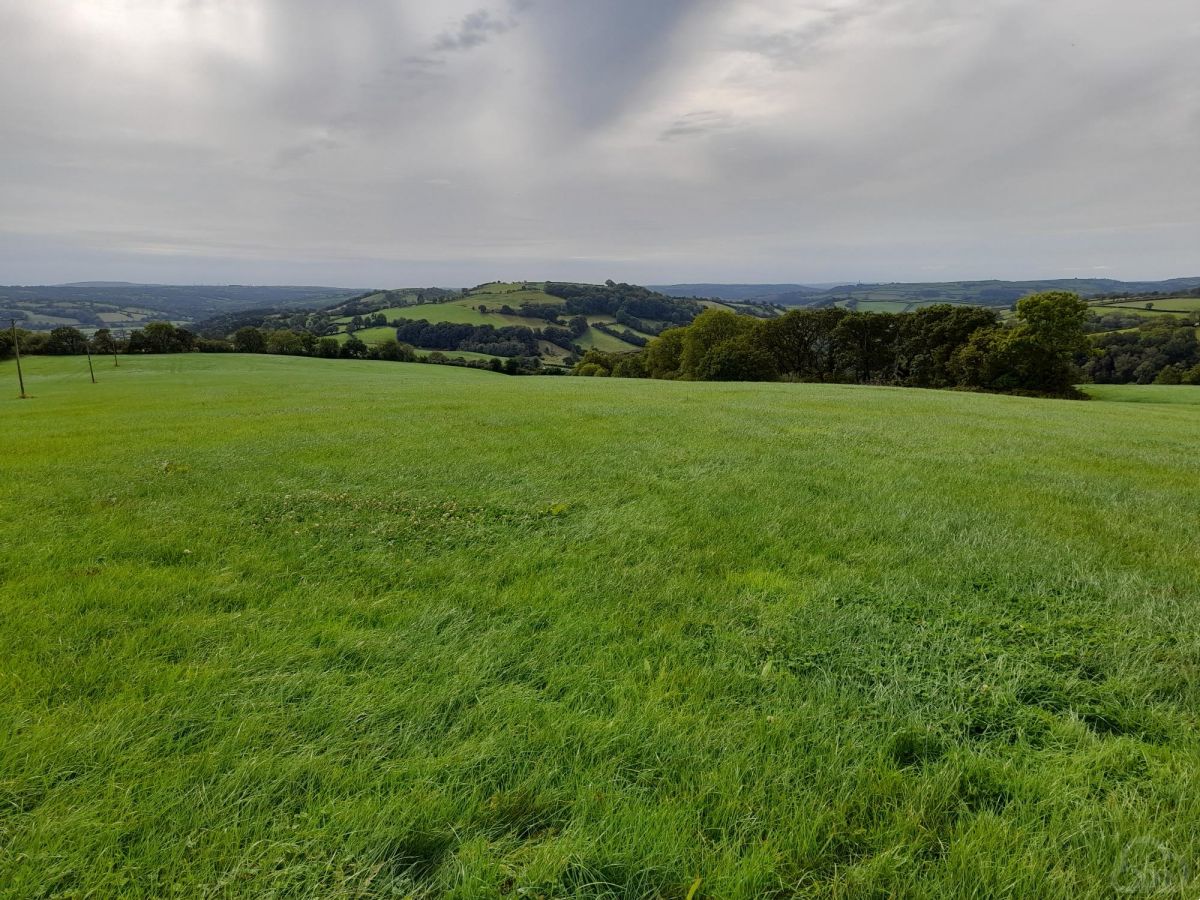 Land for sale Whitemill Carmarthenshire