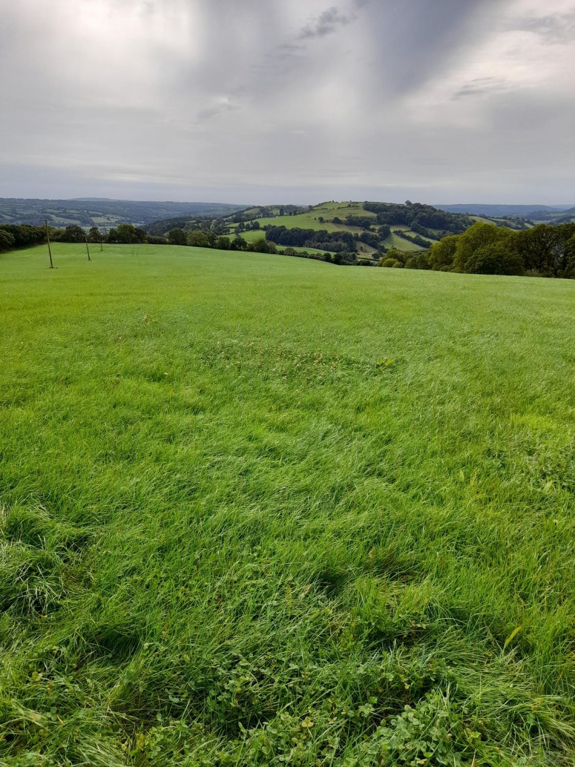 Land for sale Whitemill Carmarthenshire