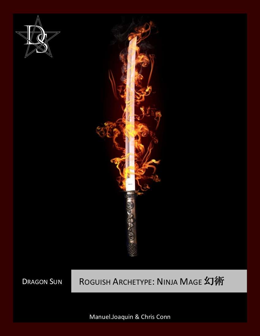 5E Rogue the Ninja Mage Dragon Sun Dungeon Masters Guild