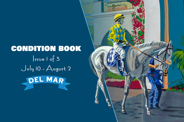 Del Mar's First Condition Book Now Offered Online