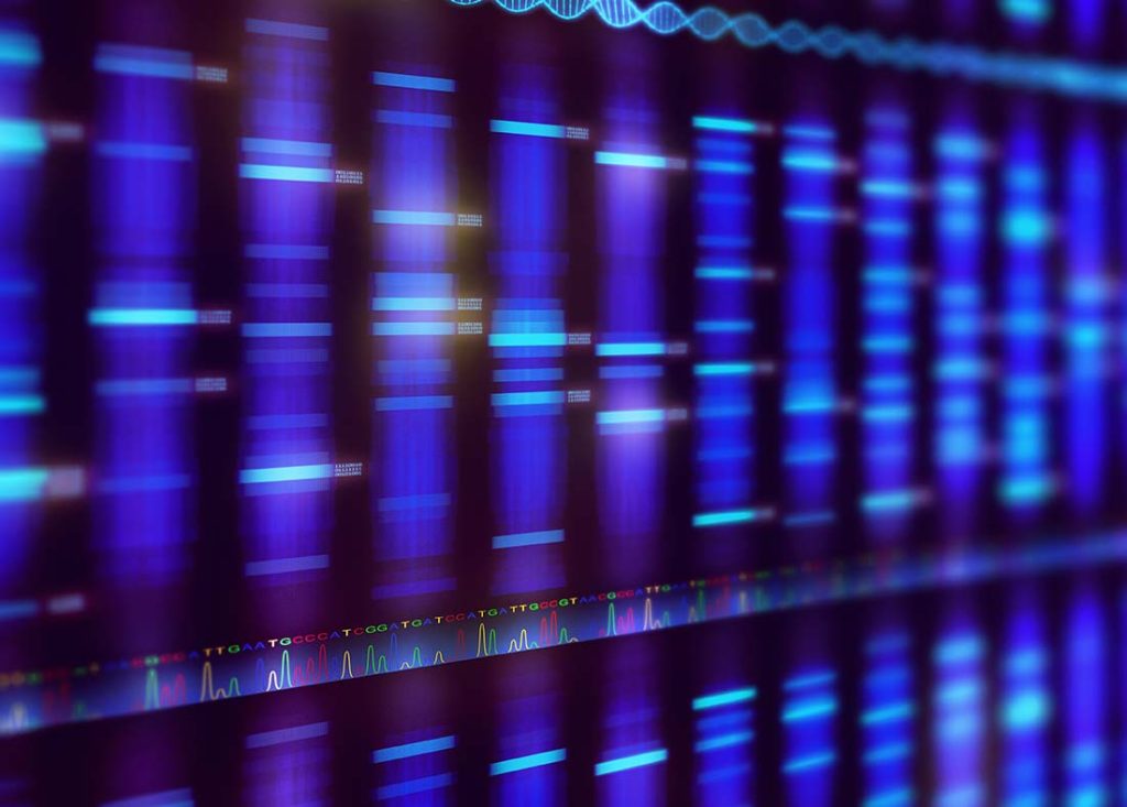 PCR Primer Design Tool Visual OMP DNA Software