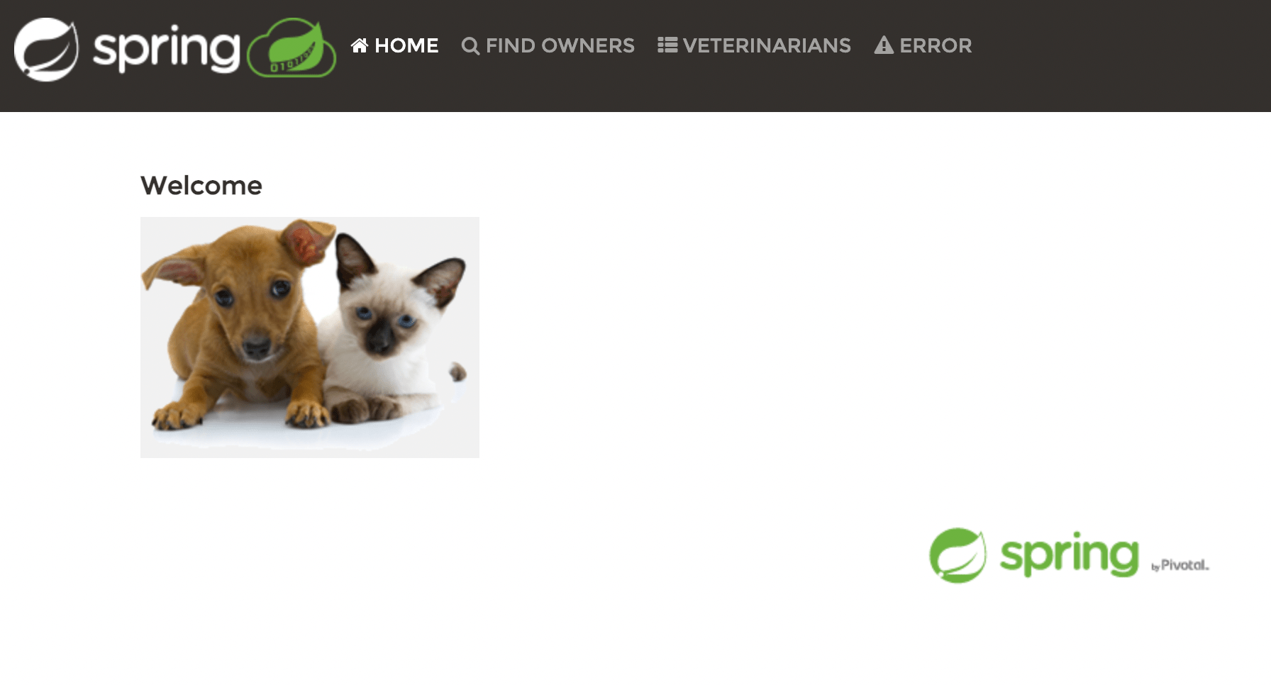 Containerizing a Legendary PetClinic App Built with Spring Boot Docker