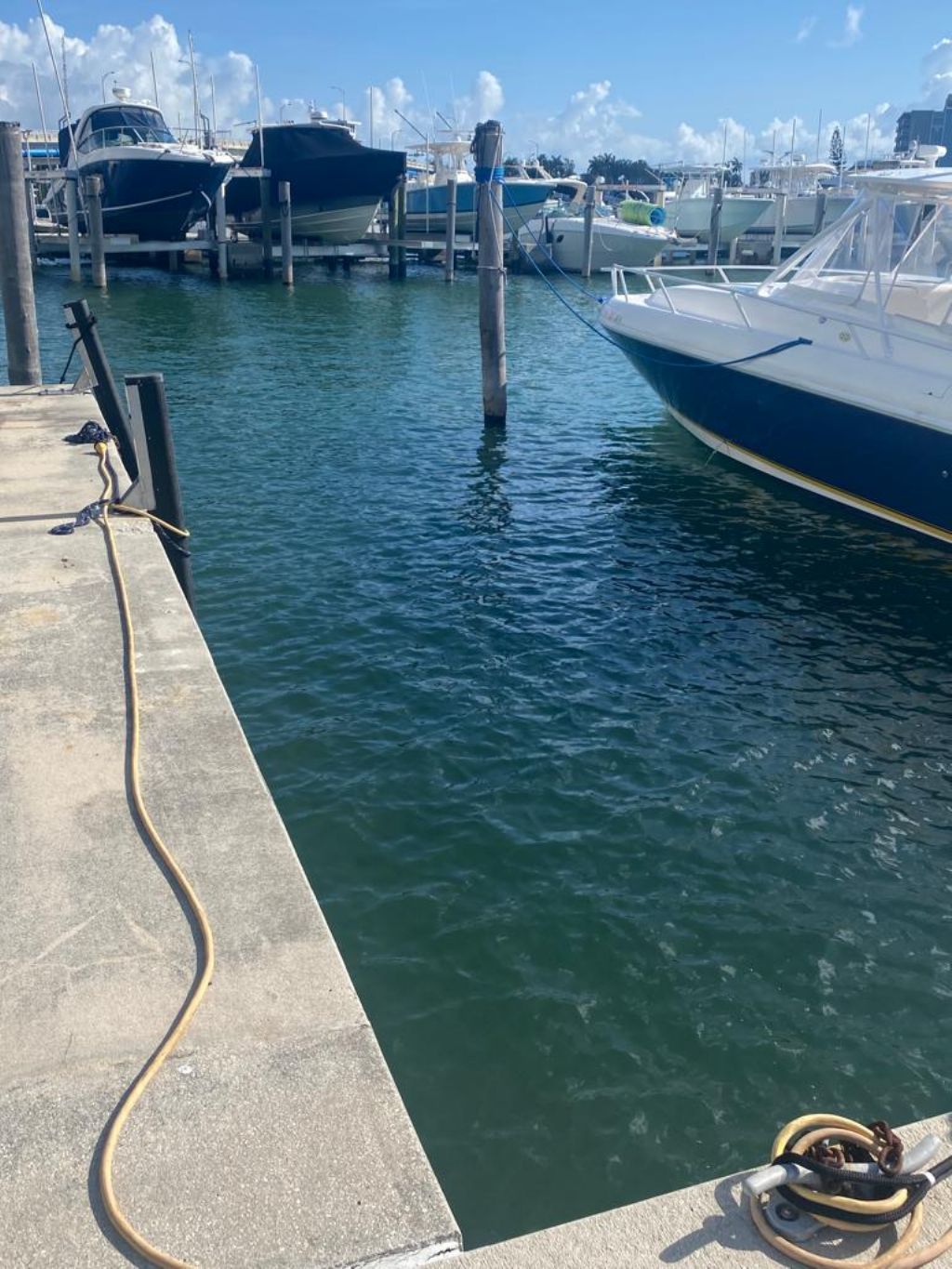 boat slip rental hollywood fl Fiona Roark