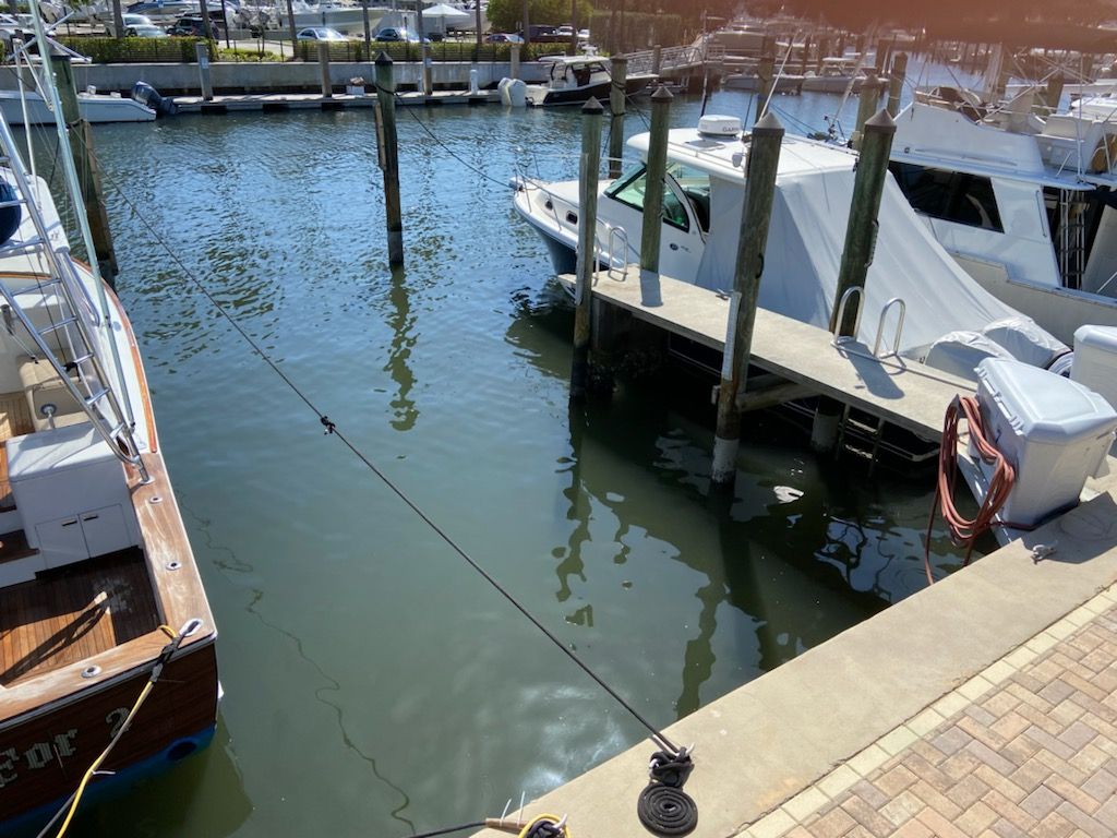 Meet A Nice Blogged Image Archive