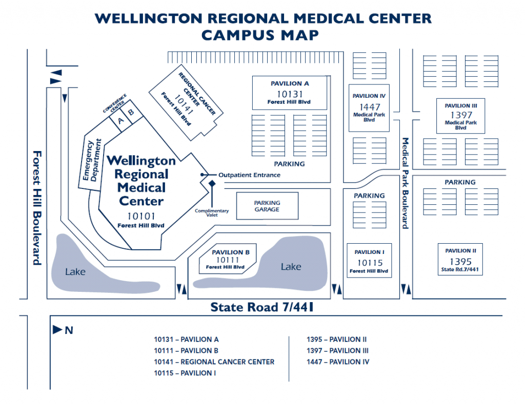Middey Damian, M.D. Children\'s Endocrine & Diabetes Care, Inc.