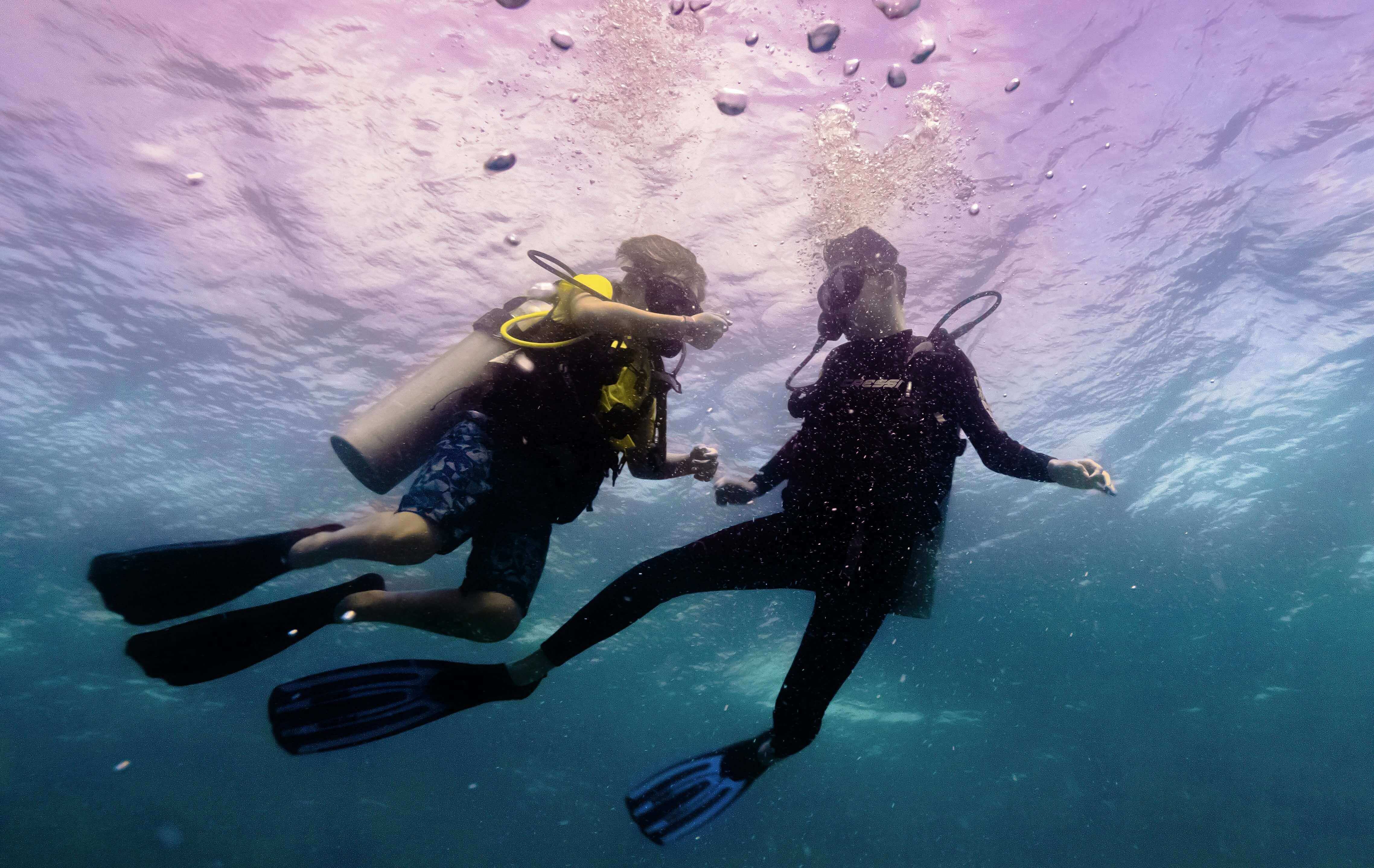 7 characteristics of a good dive guide