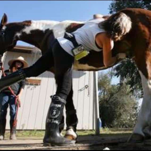 Your Male Horse's Sheath, or, One More Thing to Worry About. Or not