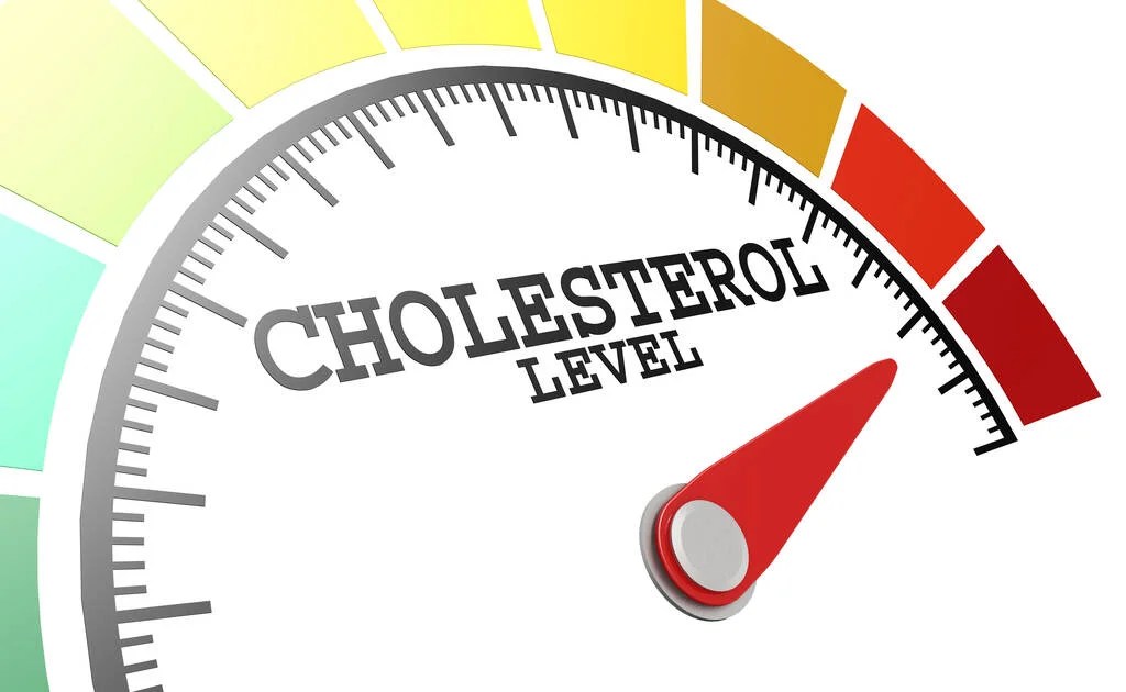 The Dangers Of High Cholesterol Levels