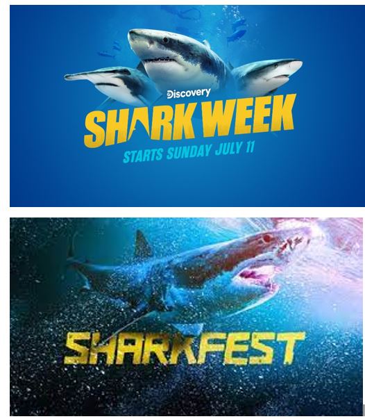 Shark Week vs SharkFest Quick bites on strategy, audience, 23 million