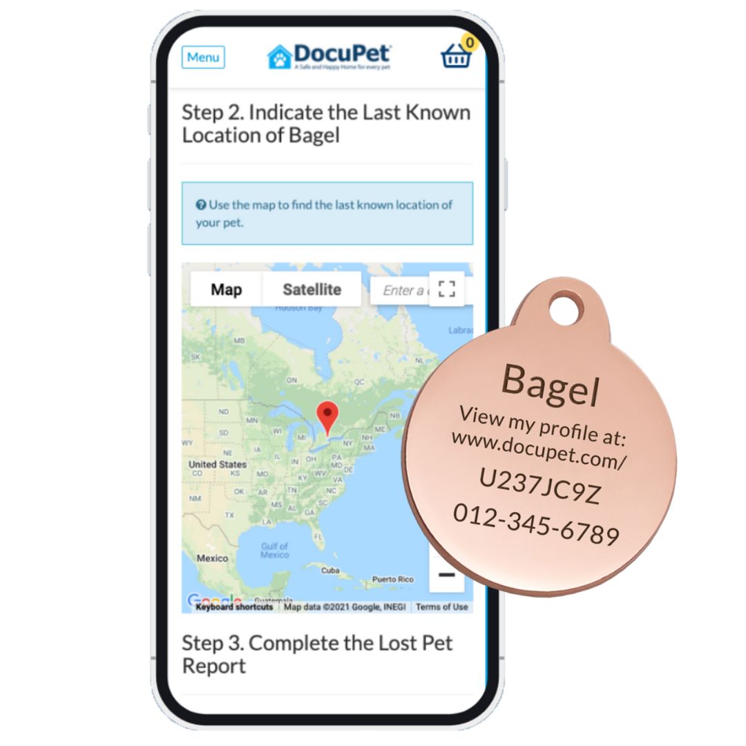 Why Do I Need to License My Pet? DocuPet