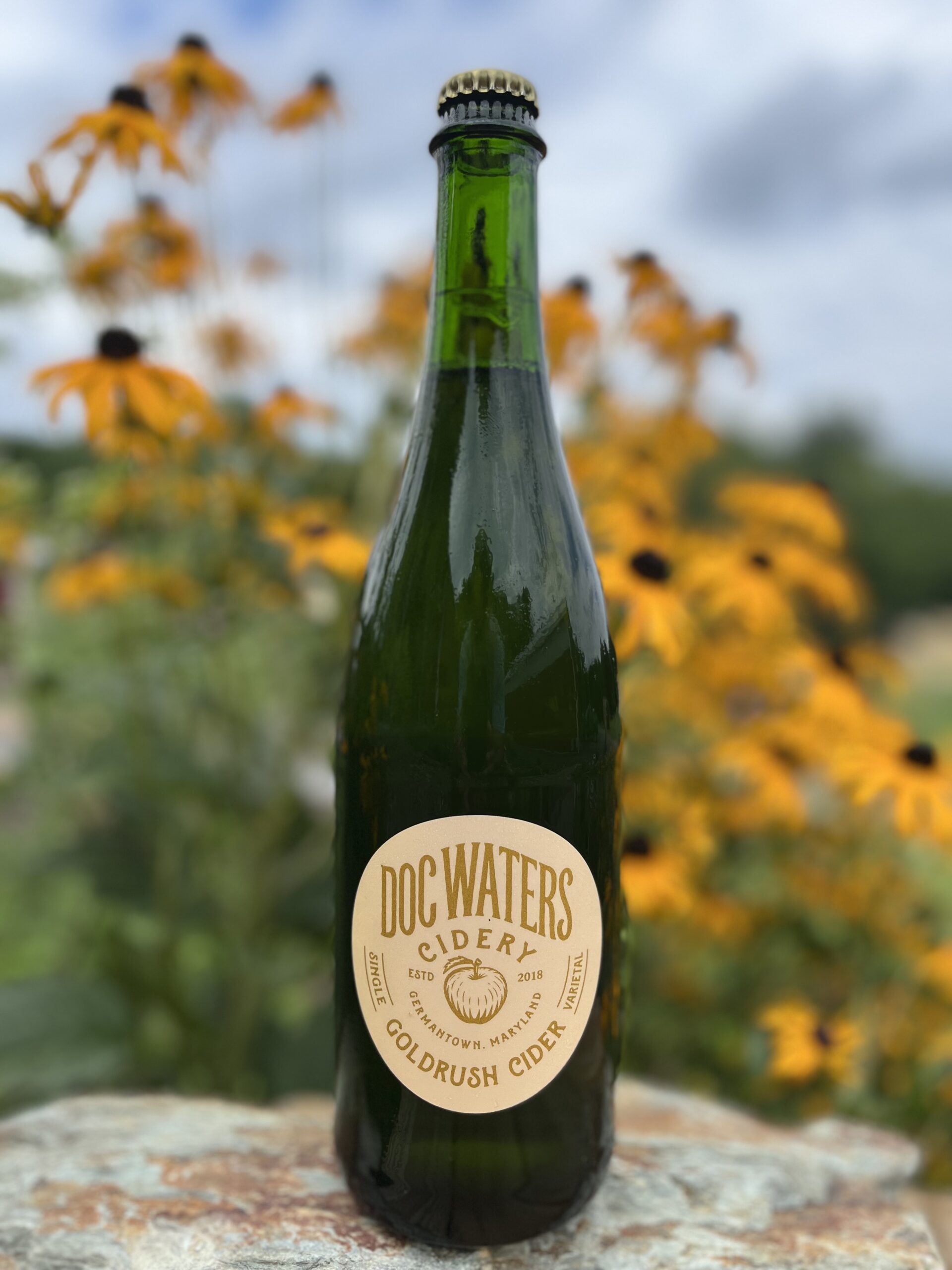 Visit The Cidery Doc Waters Cidery