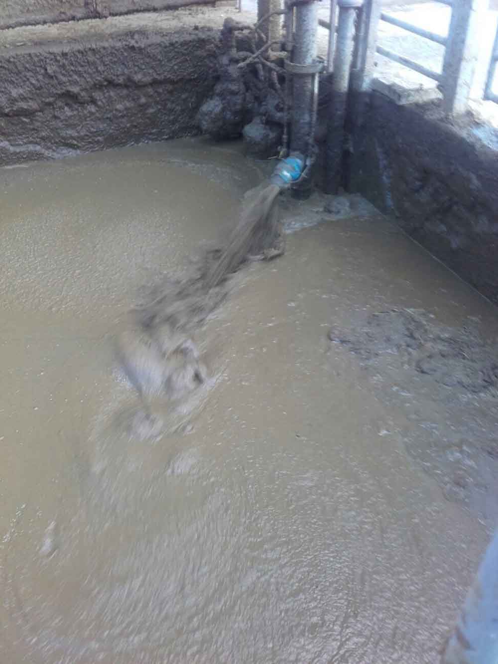 Green Bedding Separator • DODA