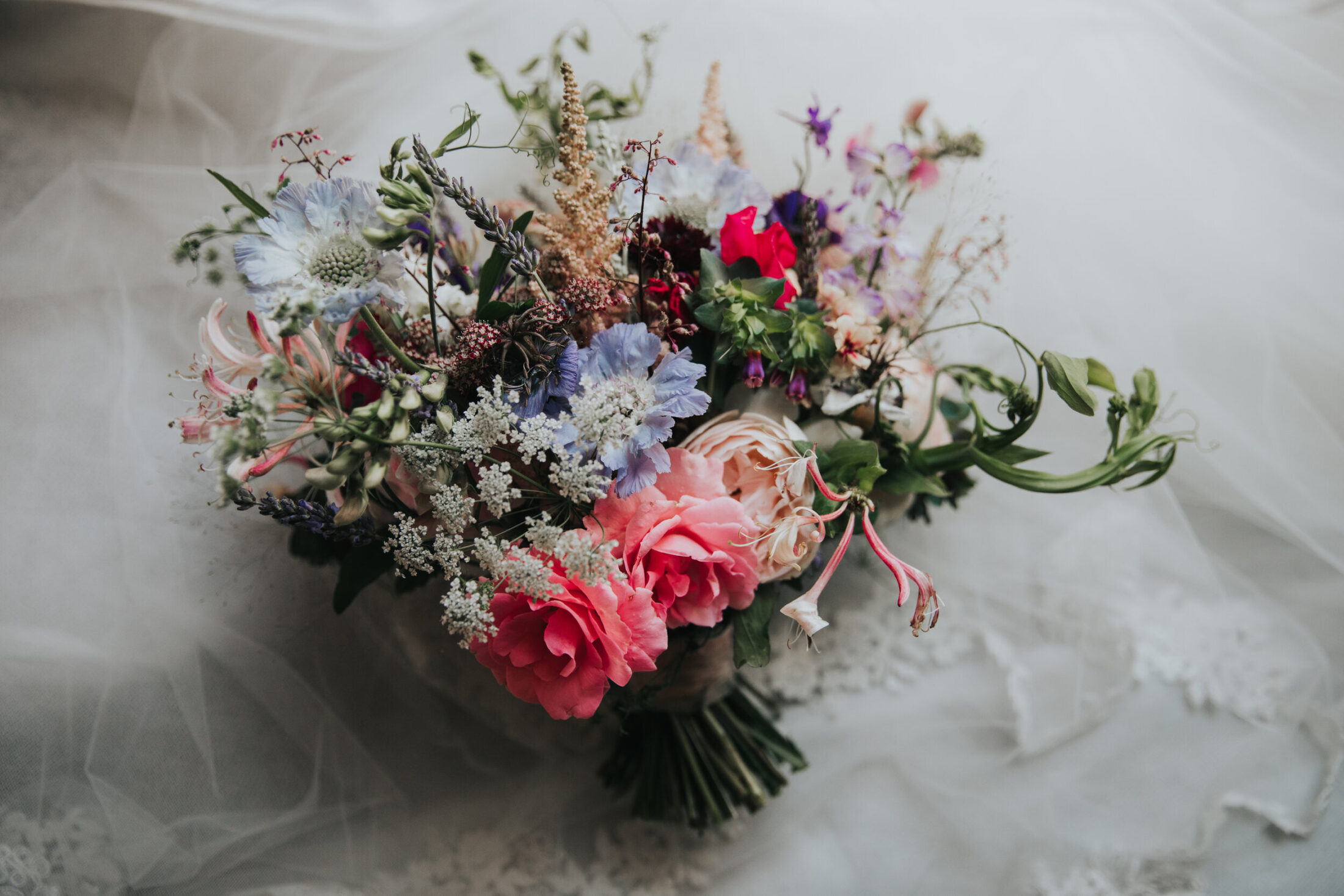 How to grow cut flowers Doddington Hall