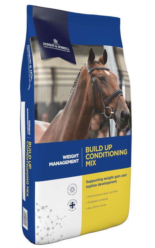 Build Up Conditioning Mix Horse Conditioning Feed Dodson Horrell