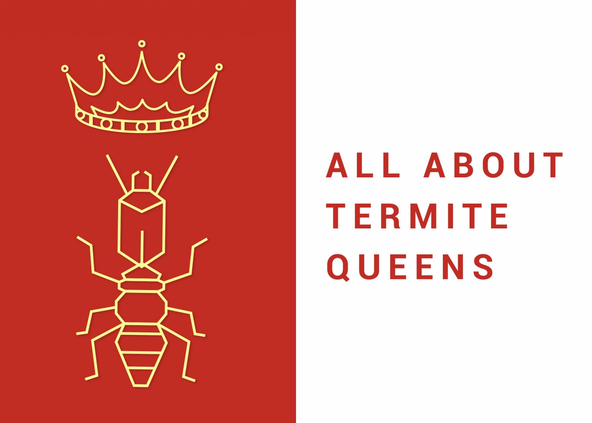 All About Termite Queens Dodson Pest Control