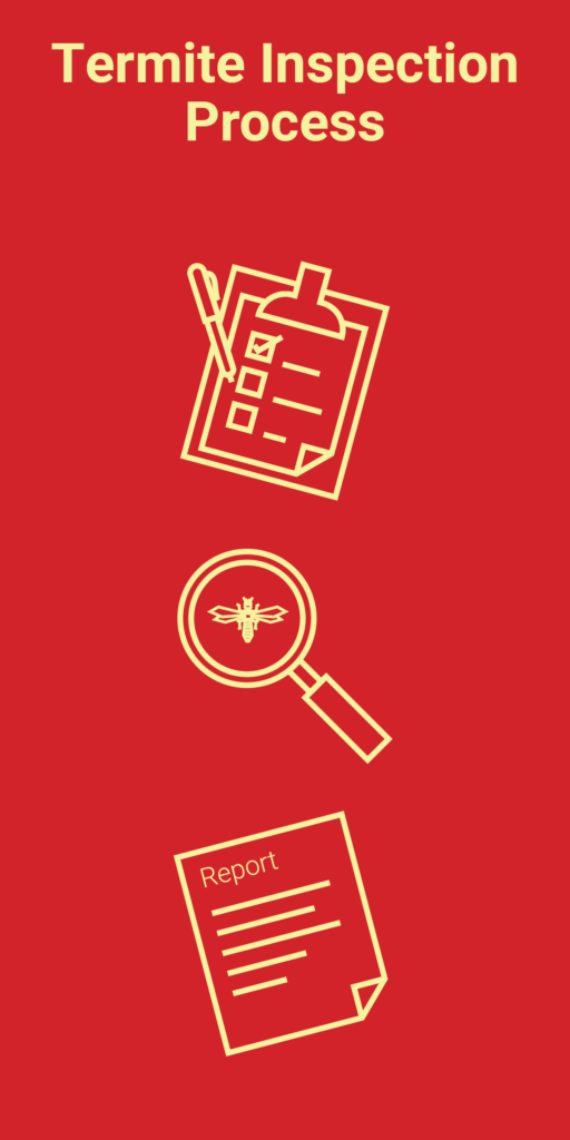 Termite Control Get Rid of Termites and Protect Your Investment