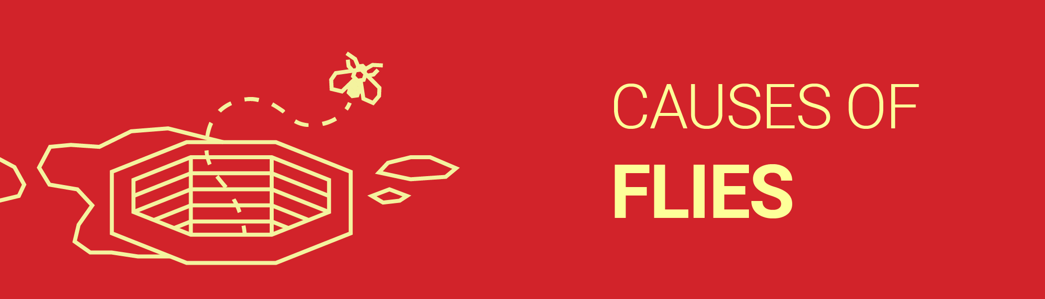 What Causes Flies Dodson Pest Control