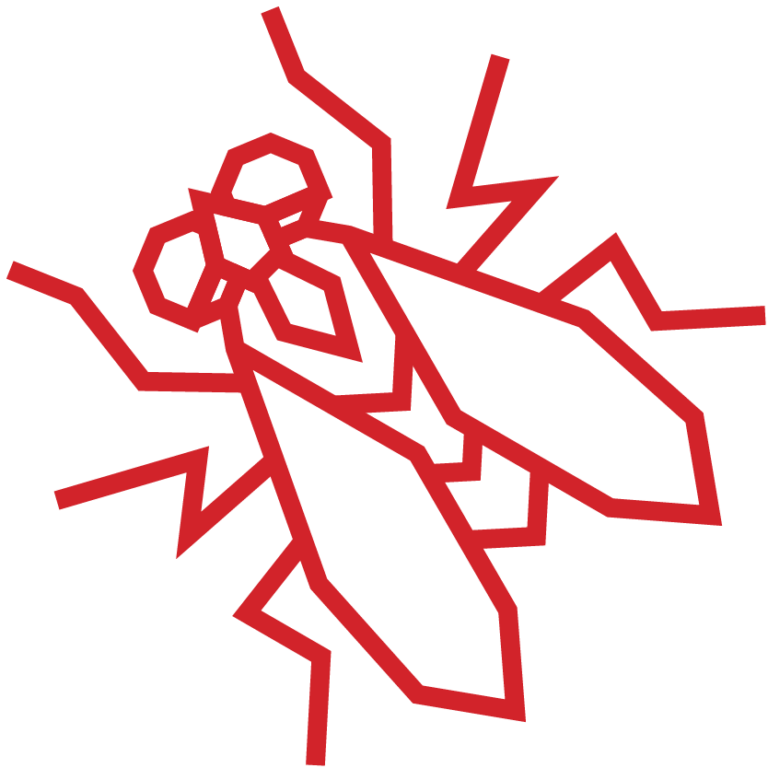 How to Prevent Flies Dodson Pest Control