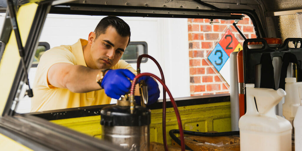 Answering Common Cockroach FAQs Dodson Pest Control