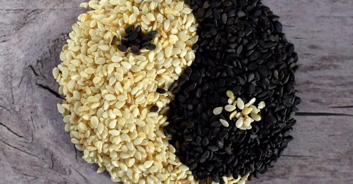 Do Sesame Seeds Go Bad? [Best Answer] in 2023