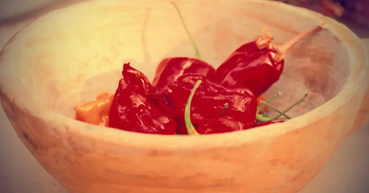 Does Paprika Go Bad? [Best Answer] in 2023