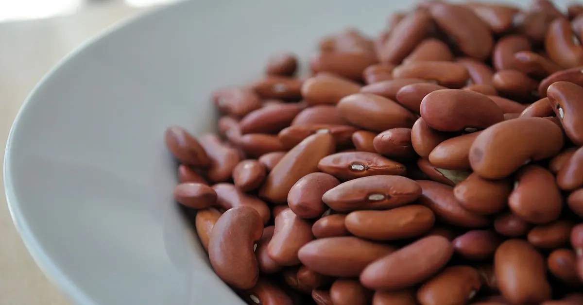 How Long Do Dried Beans Last? A Guide to Storage and Shelf Life
