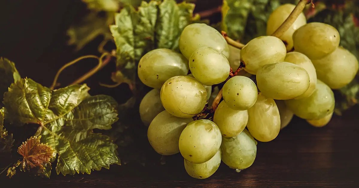 Do Grapes Go Bad? Understanding the Shelf Life