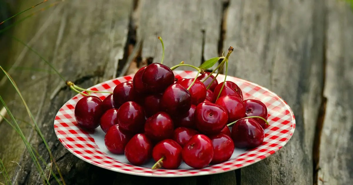 Do Cherries Go Bad? Tips to Extend the Lifespan of Cherries