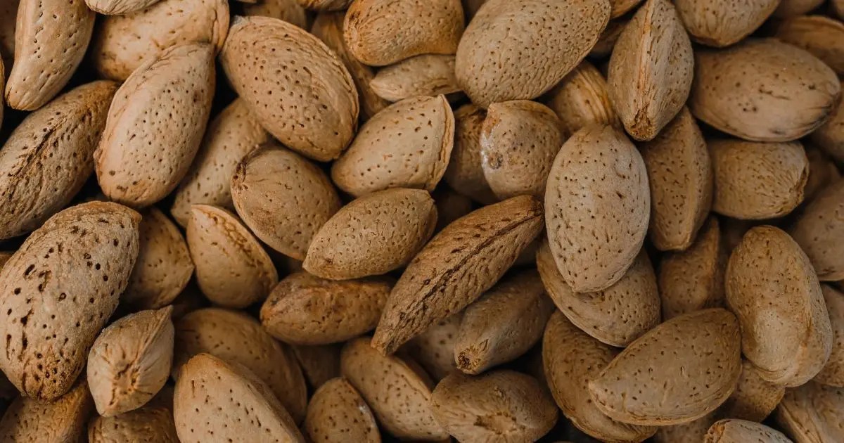 Do Almonds Go Bad? How to Tell if Almonds Have Gone Bad?