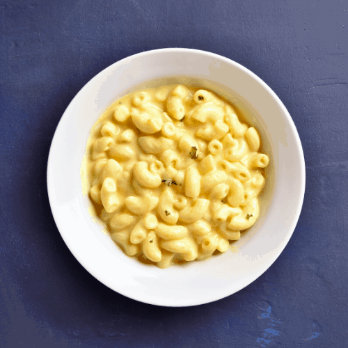 Can Dogs Eat Mac and Cheese? Dog Advice Center