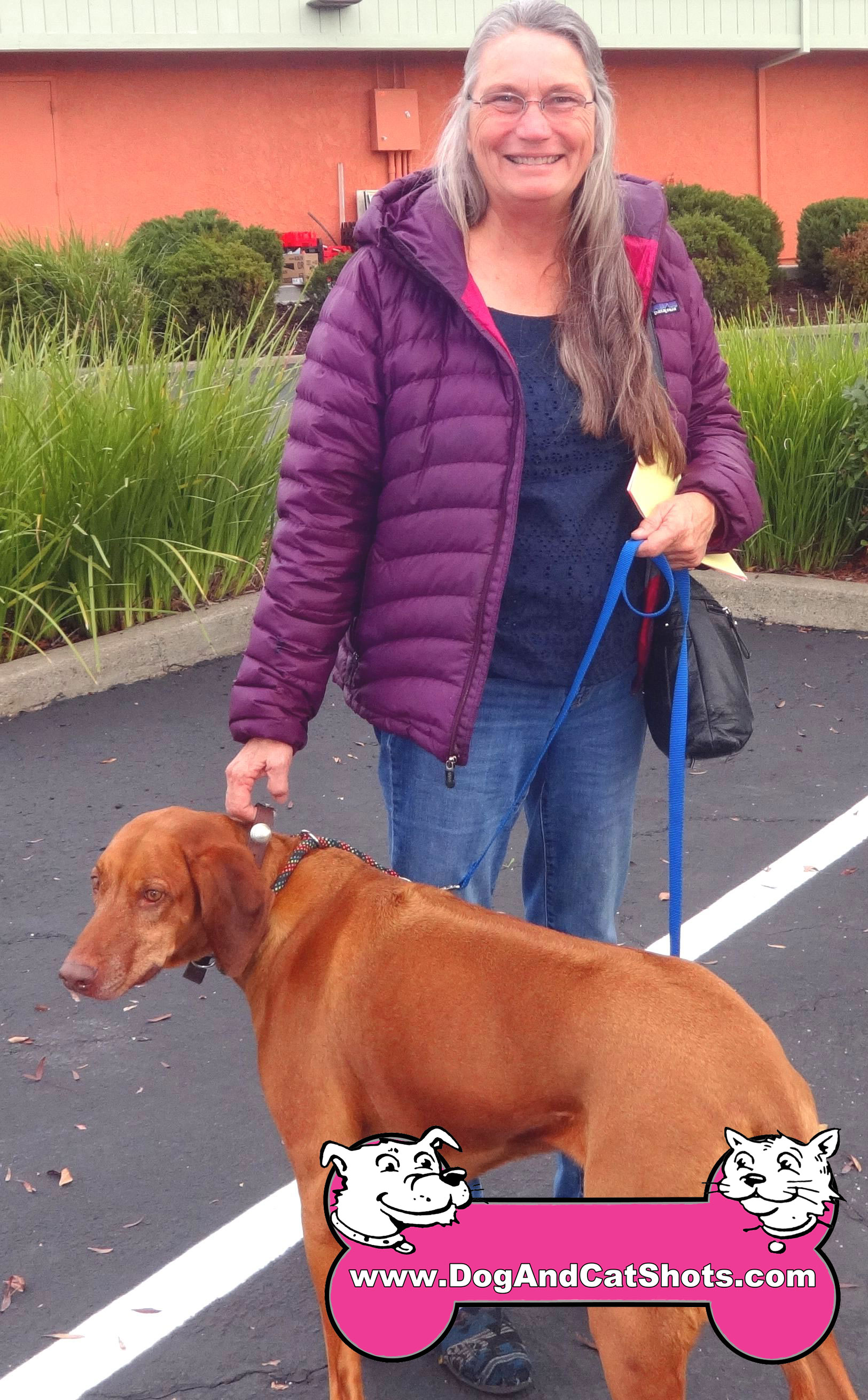 Low Cost Dog and Cat Shots in Northern California Rhodesian Ridgeback